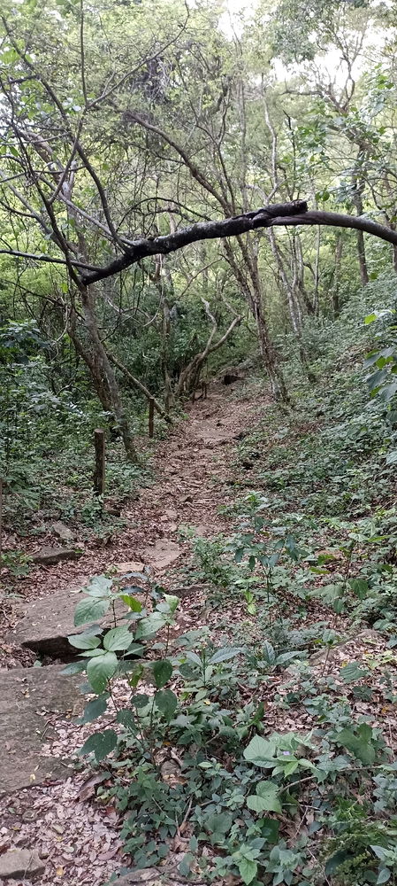 Caminos ocultos