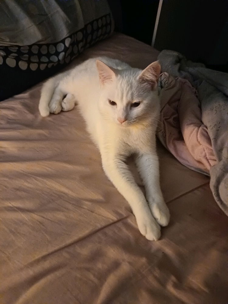 Olha só esse e me diz se essa gaúchinha não é linda