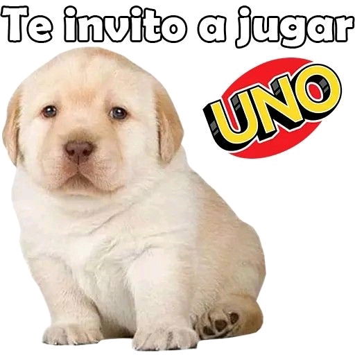 Meme