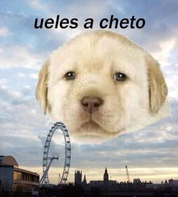 Meme