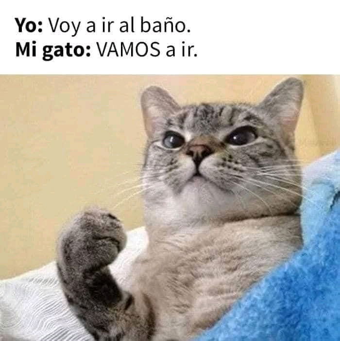 Meme