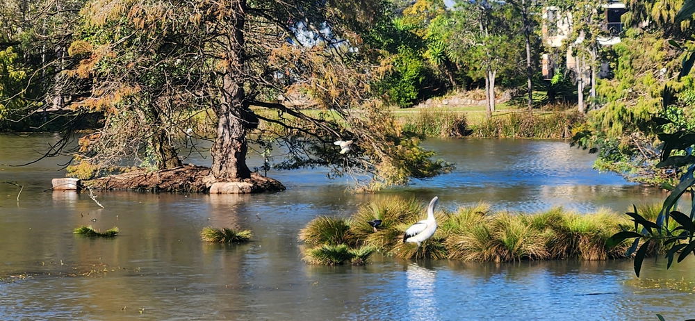 Sunday morning walk