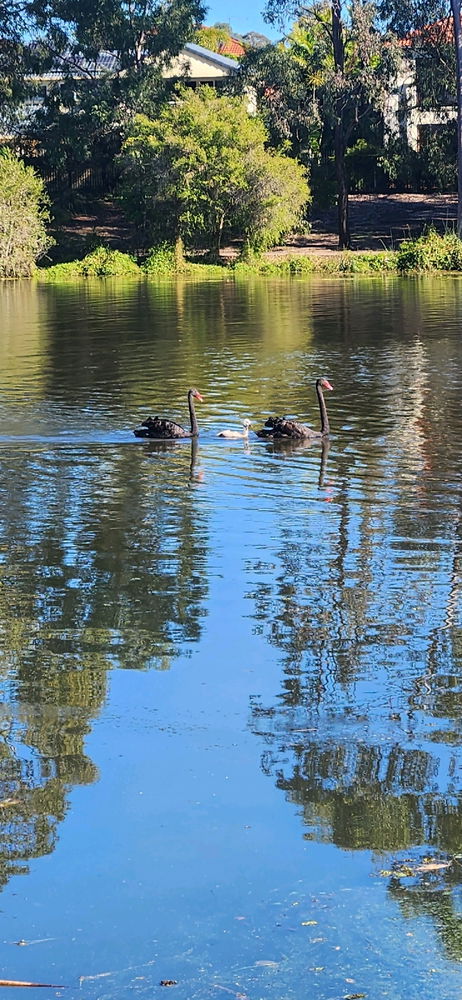 Sunday morning walk