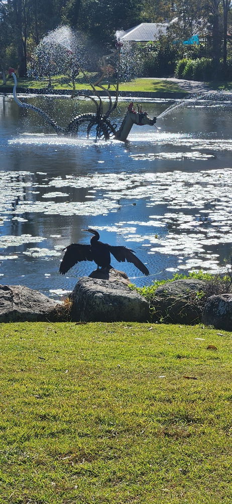 Sunday morning walk