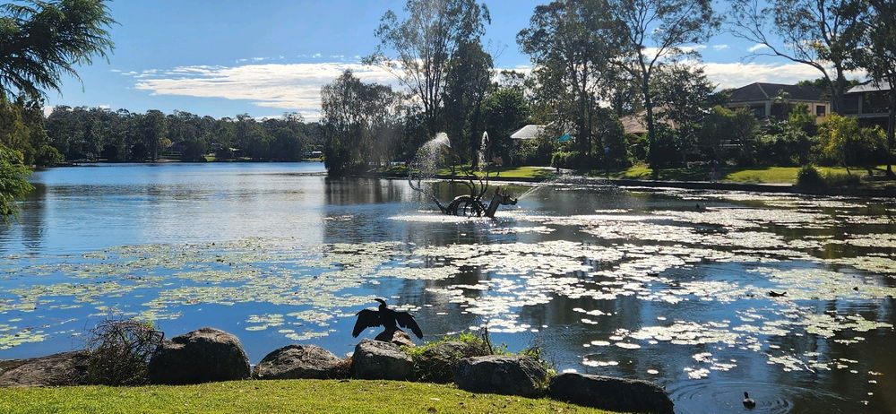 Sunday morning walk