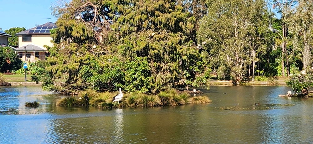 Sunday morning walk