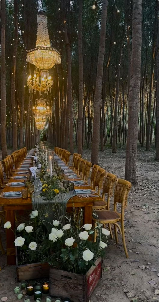 Imagine having a forest wedding