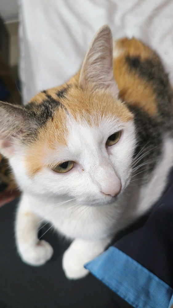 Mirada juzgadora