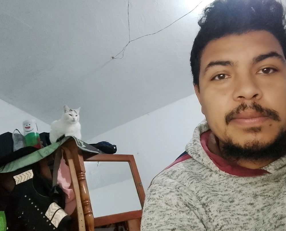 Las locuras de ella