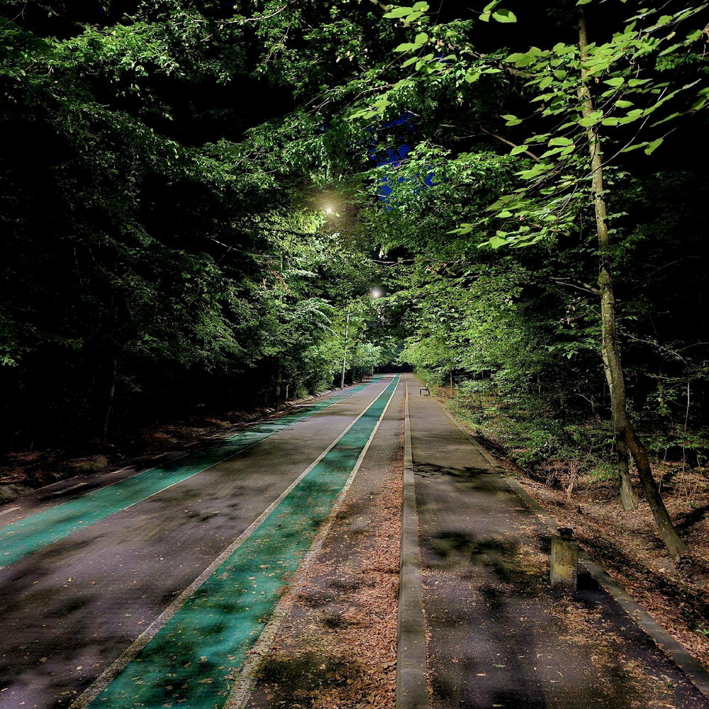Verdant Lines