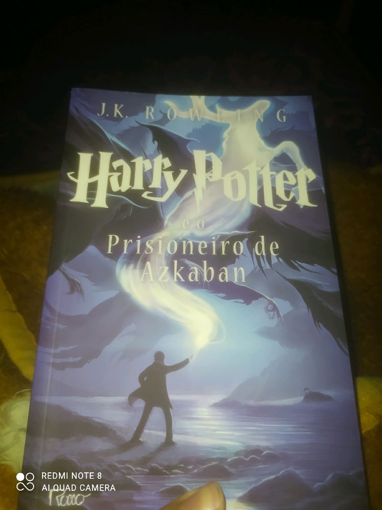 Estou lendo Harry Potter pela primeira vez e tá sendo muito divertido