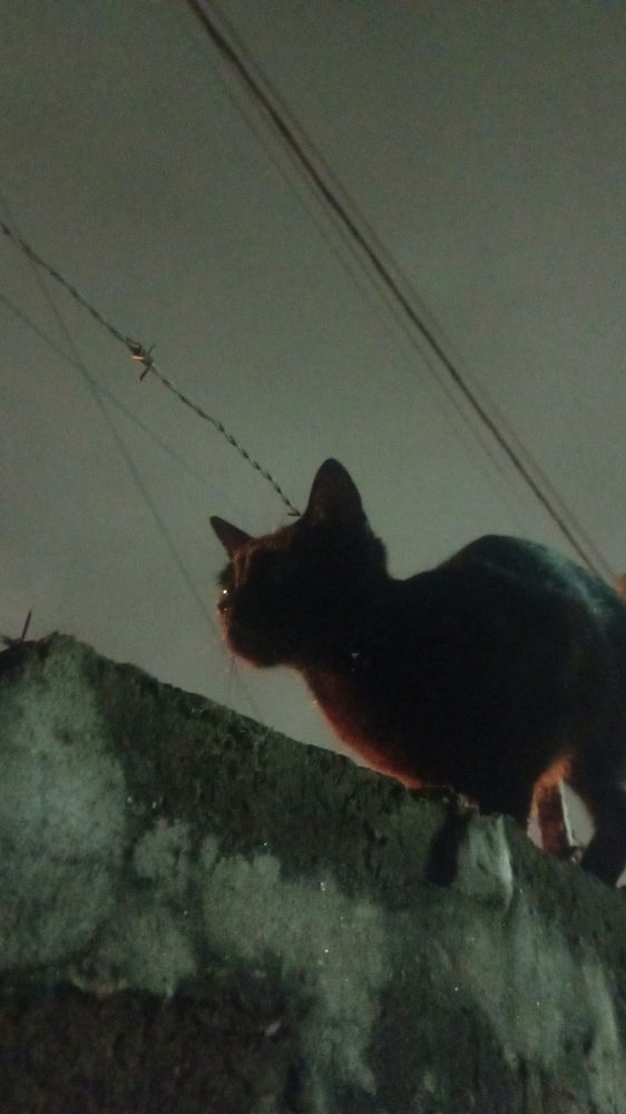 Día de lluvia
