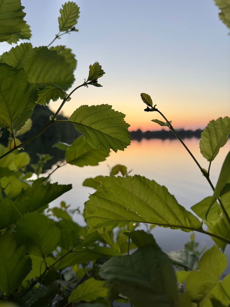 Lake in my area