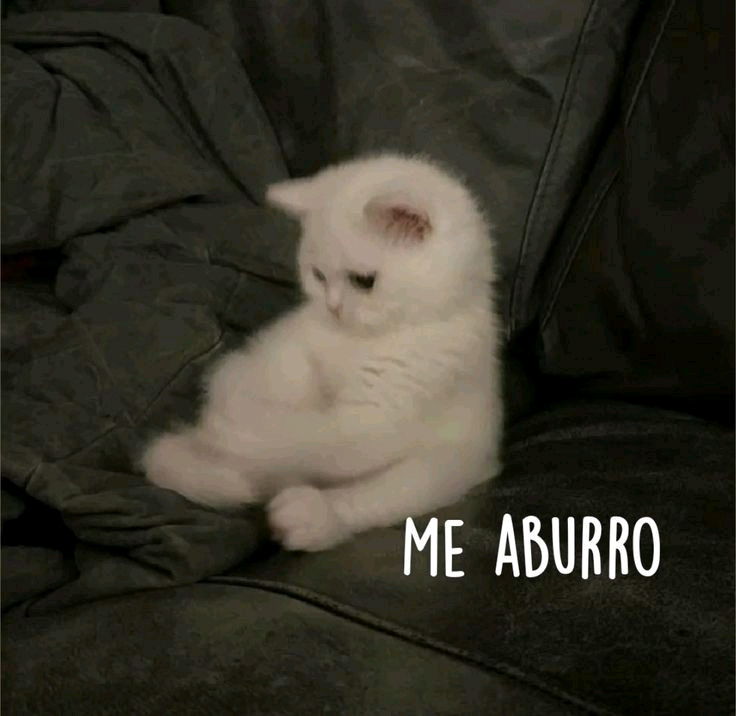 A Sobra de tiempo