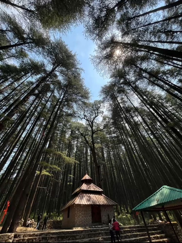 Where Stillness Speaks
