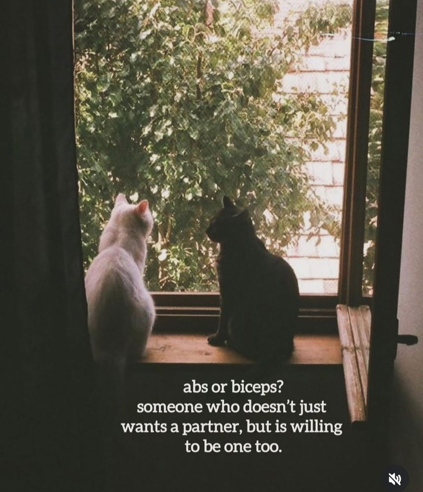 Qualities of a partner
