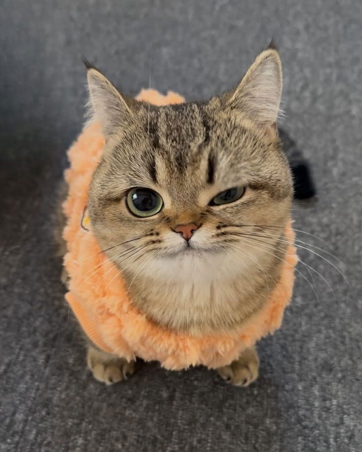 Grrr