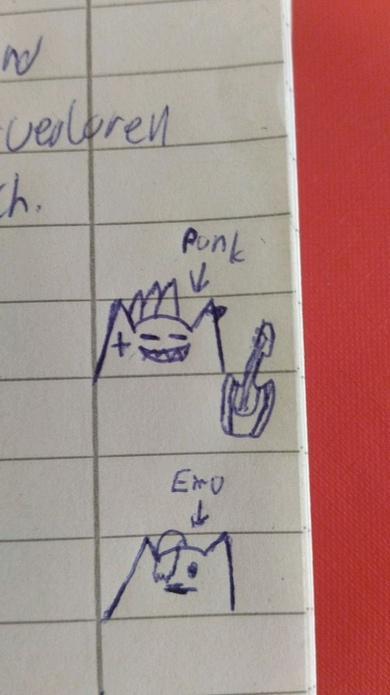 my pubk doodle cat