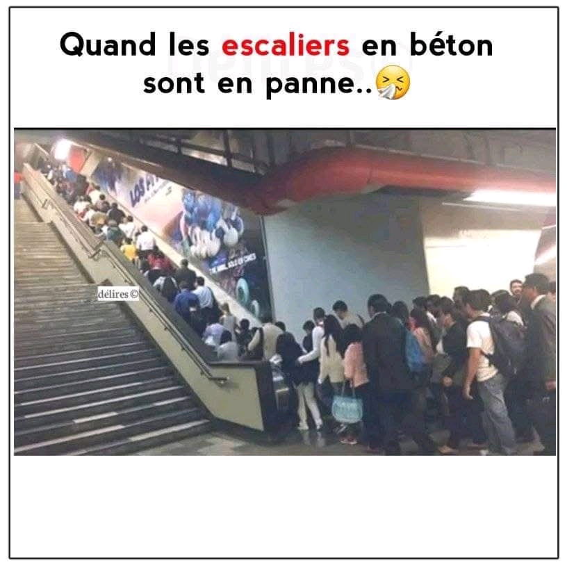 Incroyable mais vrai