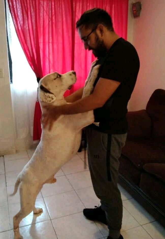 Pasando un rato con el lomito