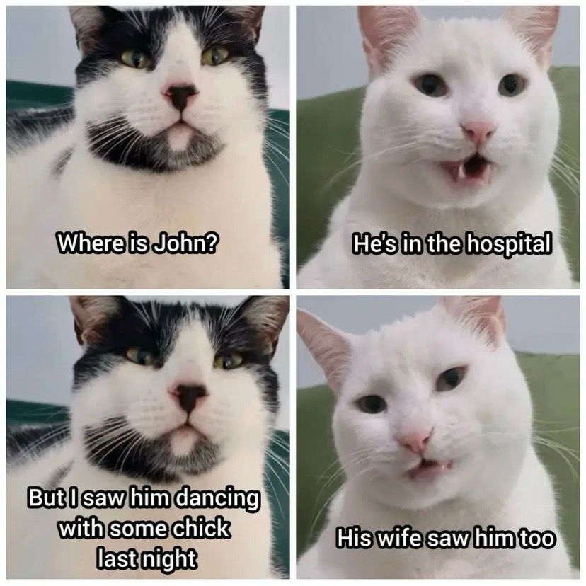 Lmao! What a…. Catastrophie😂