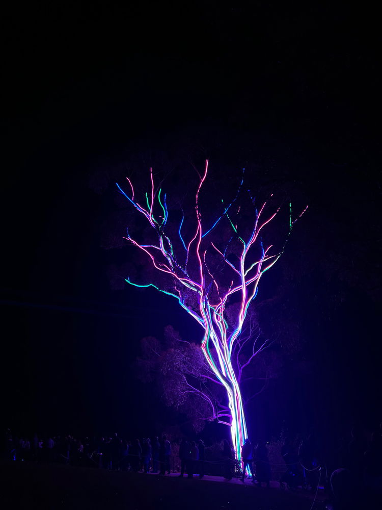 Lightscape 2025✨