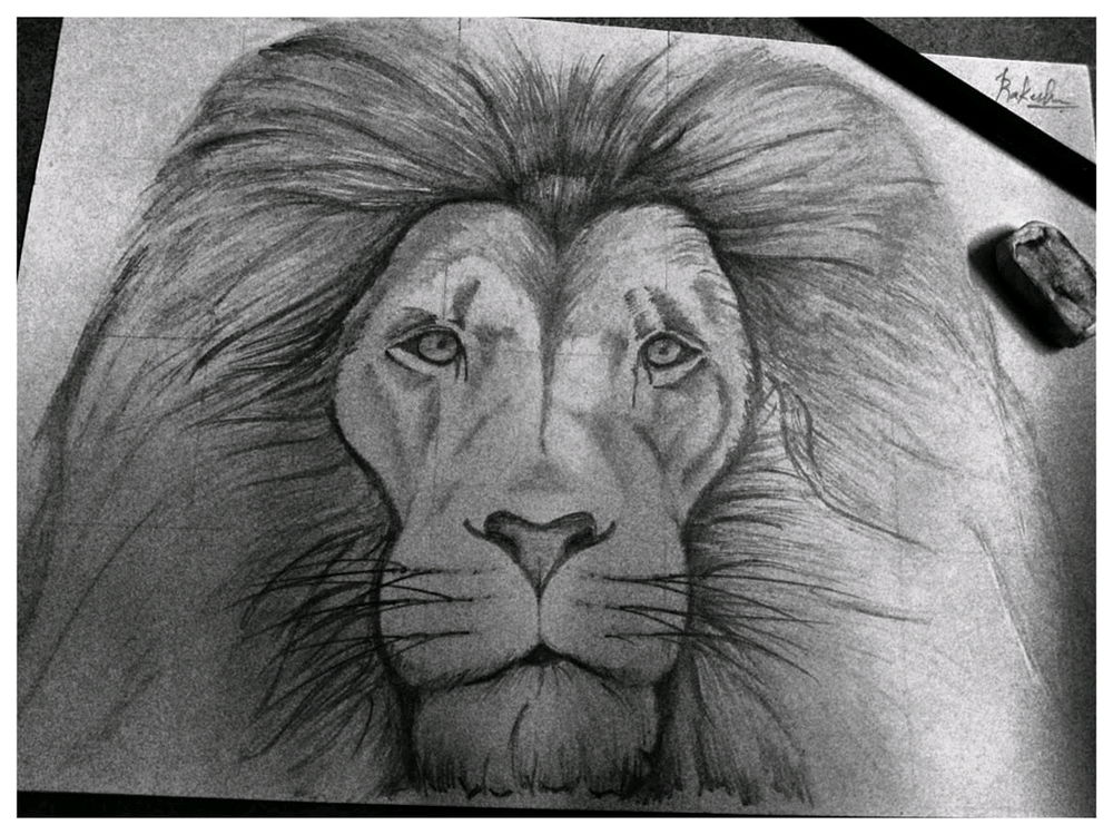 🦁