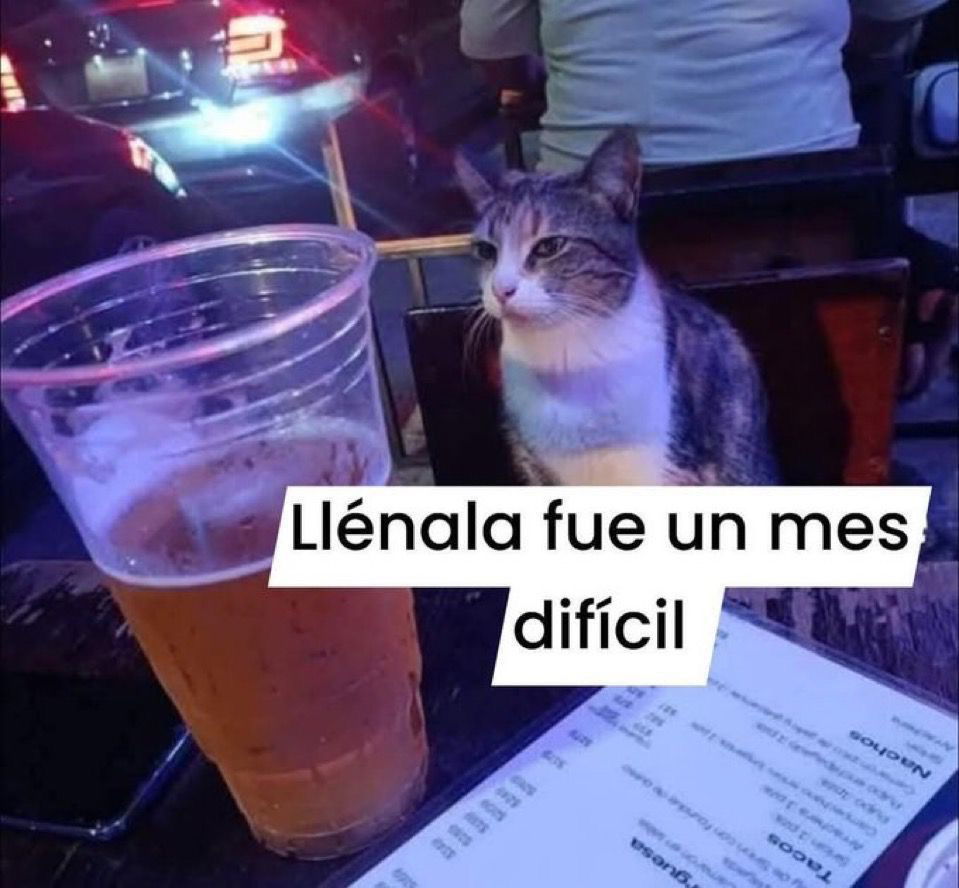 Yo hoy 🤣