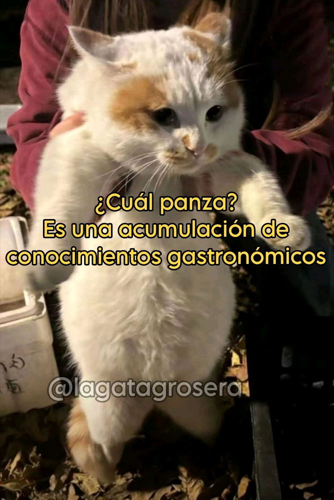 ¿Verdad o mentira?