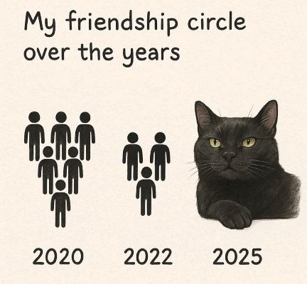 😻😻😻