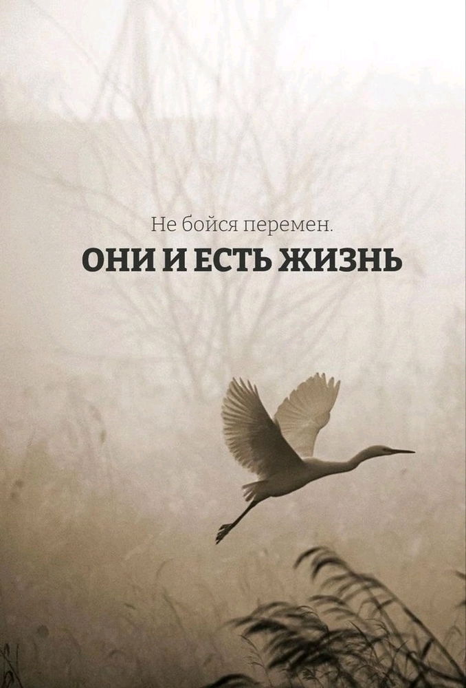 Ветер перемен...