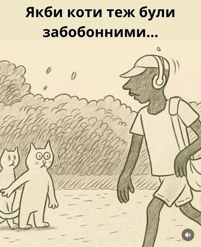 Чорненьке 🌚