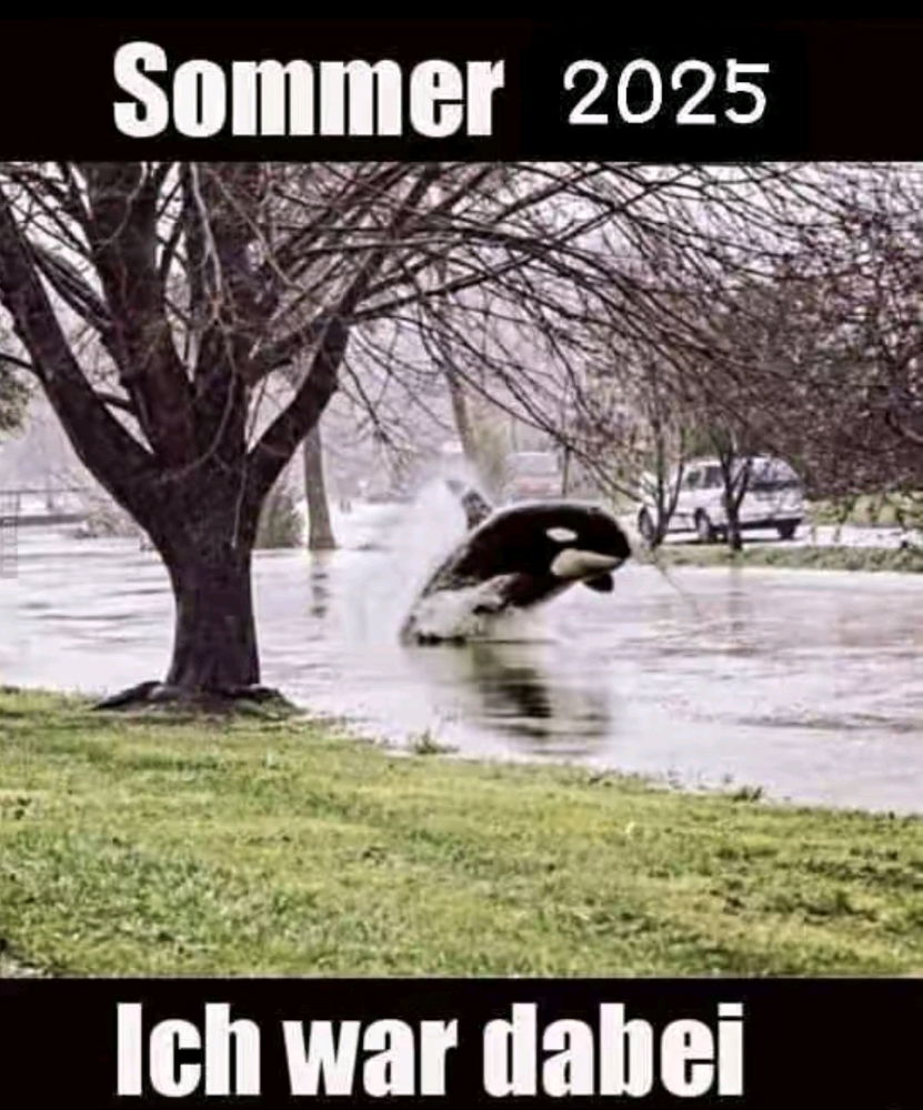 ☀️Vermiesstenanzeige