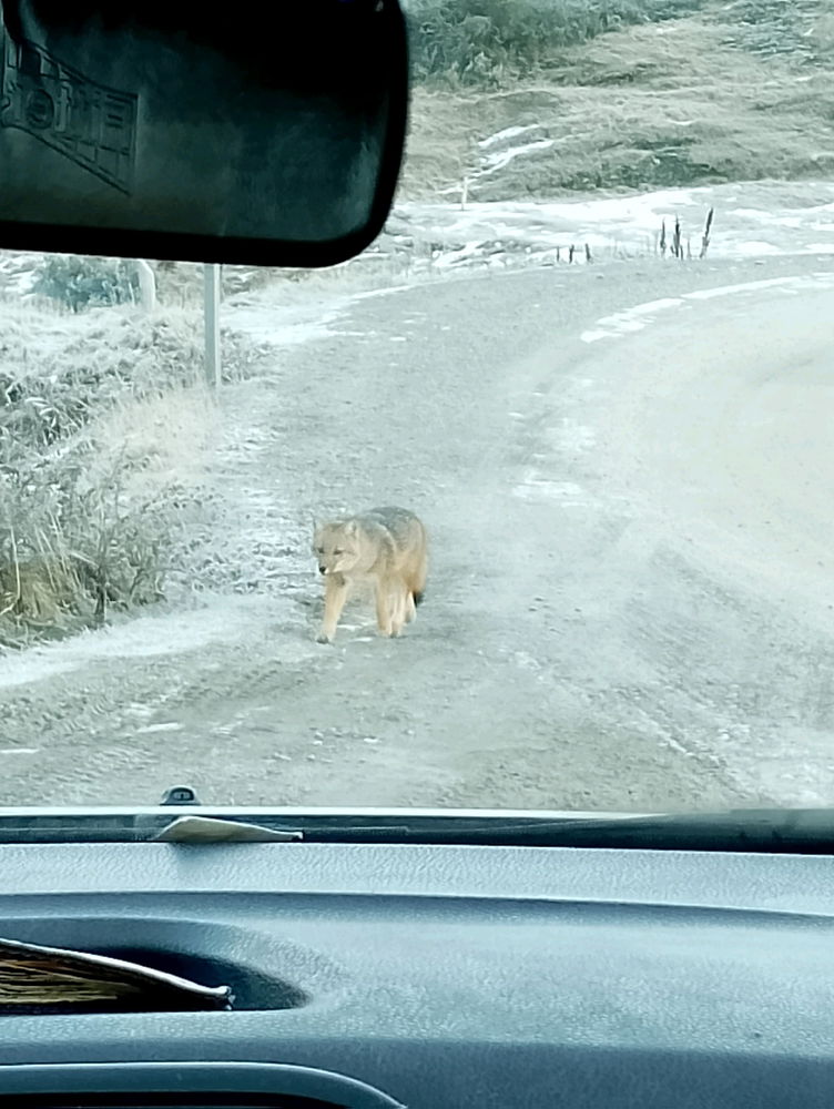 Mi viaje a Ushuaia
