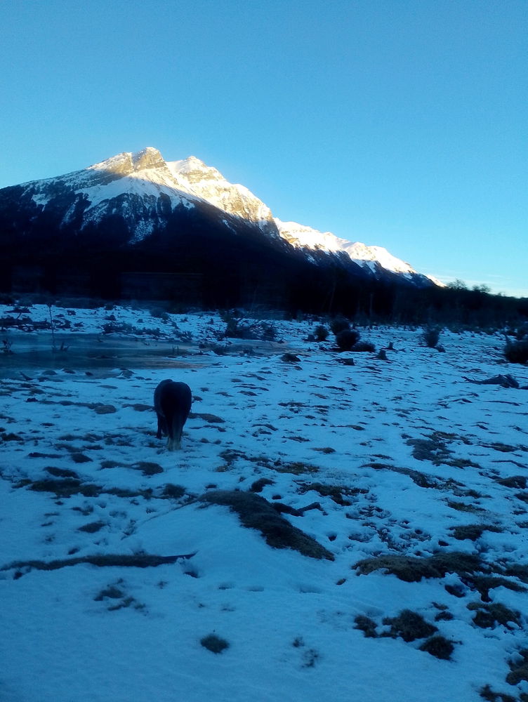 Mi viaje a Ushuaia