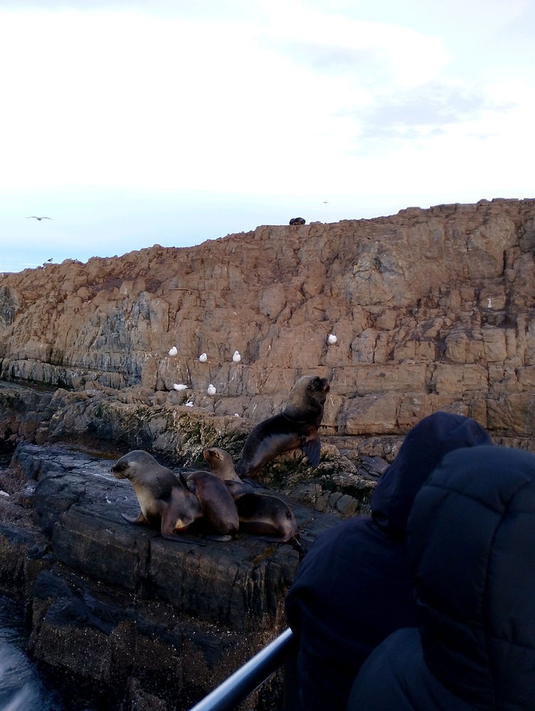 Mi viaje a Ushuaia