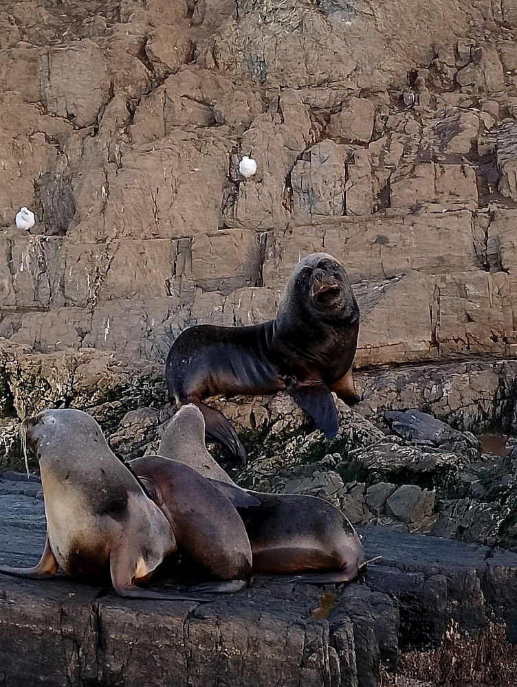 Mi viaje a Ushuaia