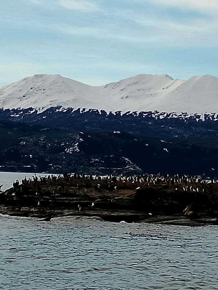 Mi viaje a Ushuaia