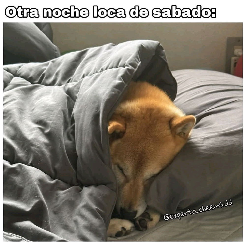 😴