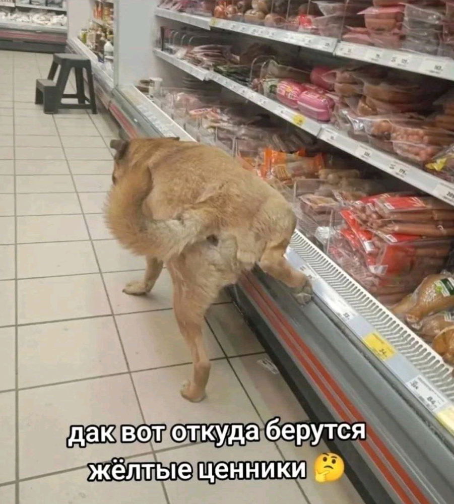 Дак
