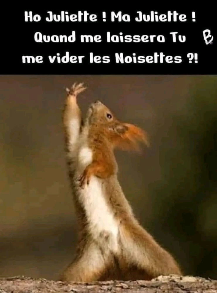 🤣