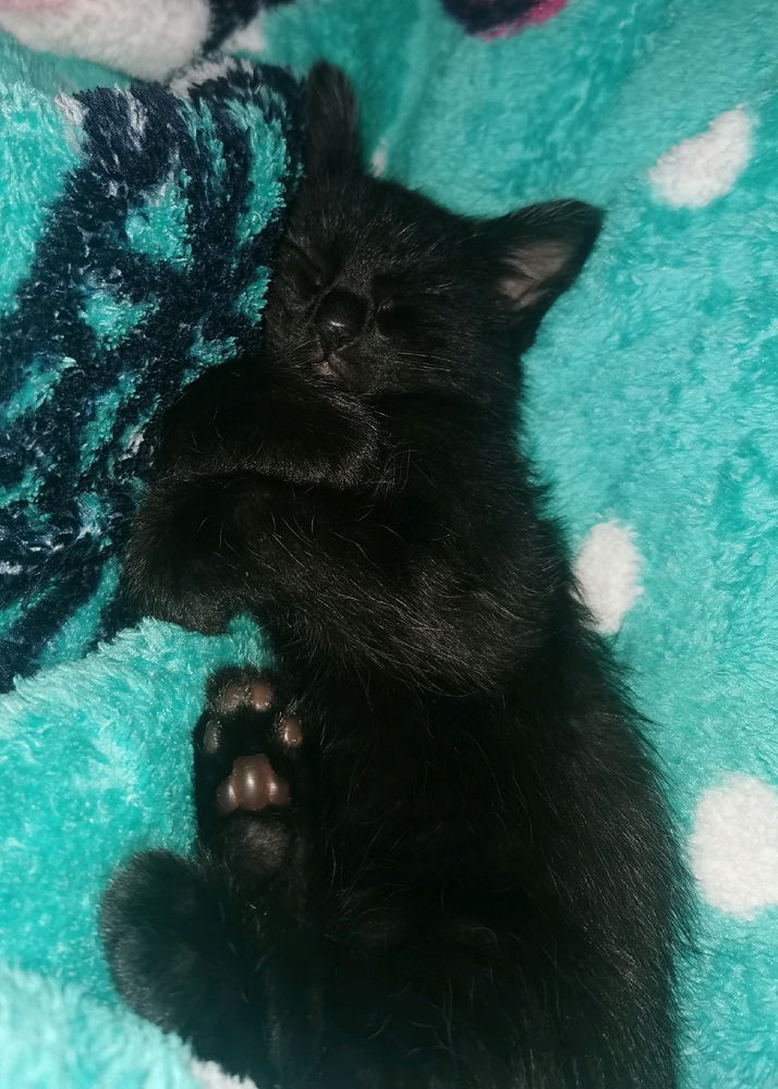 He is so cute♥️