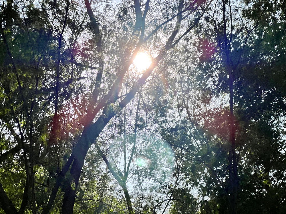 Too bright?