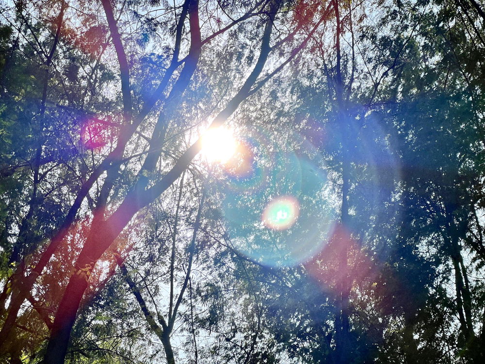 Too bright?