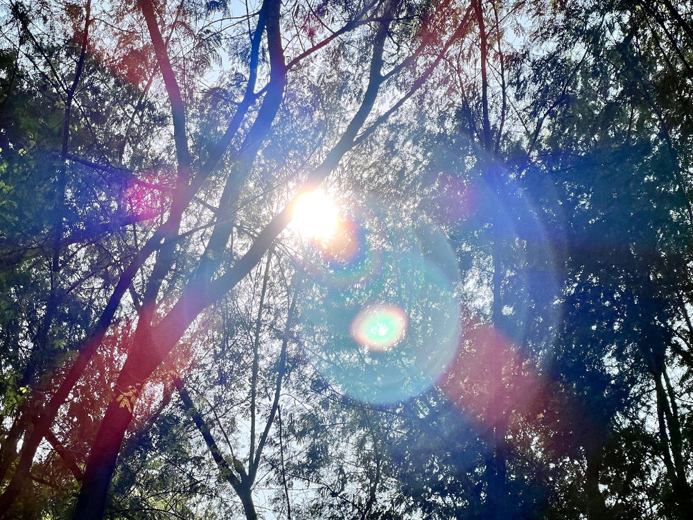 Too bright?
