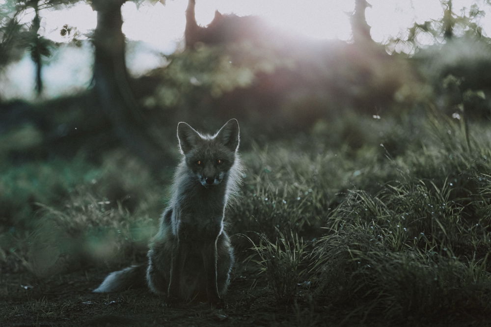 Mystisch