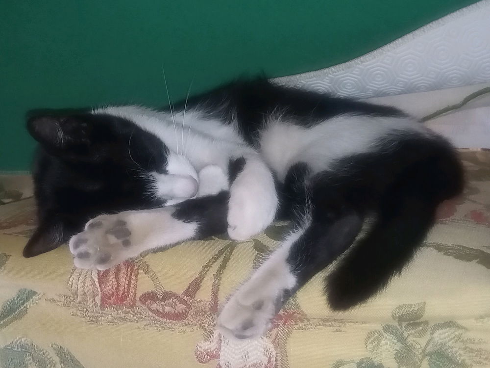 Oggi si fa'...