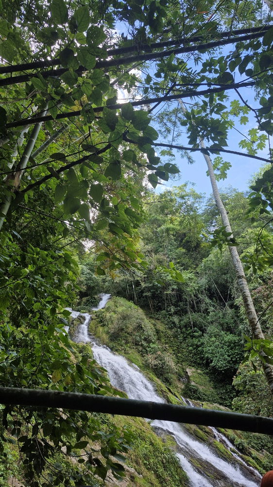 Norcacia, Caldas.
