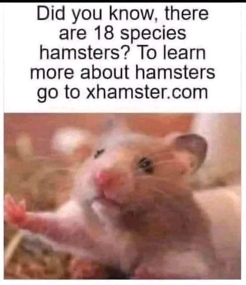 😉