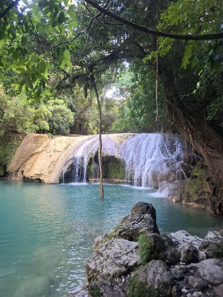 Wandered where the wild water roams